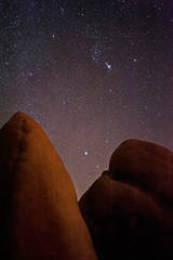 Joshua Tree with the Milky Way