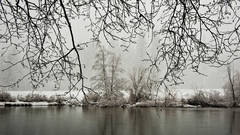 Merced River Winter