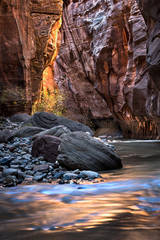 The Narrows and the Virgin River