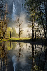 Yosemite Falls Reflections 2