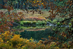 Valley View Fall Colors