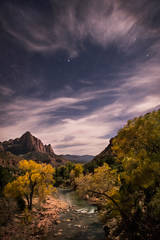 The Watchman and Stars