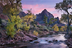 The Watchman at Twilight
