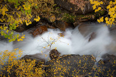 Fall Colors Rock Creek 1