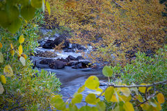 Bishop Creek Fall Colors