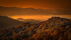 Blue Ridge Mts, Fall Colors