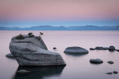 Bonsai Rock Sunrise