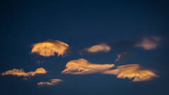 Lenticular Clouds over Bishop