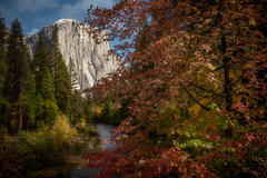 El Capitan &Fall Colors