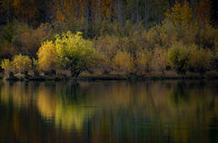 Sierra Colors