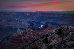 Lupine Pt Sunrise