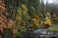 Merced River Fall Colors