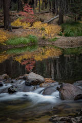 Merced River Fall Colors