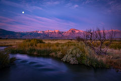 Owens River Moonset