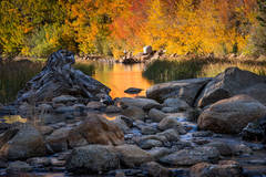 Aspen Reflections