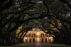 Oak Tree Tunnel, Twilight