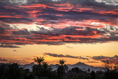 La Quinta Sunset