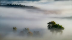 Ridgway Morning Mist