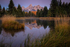 Dawn at Schwabacher Landing