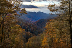 Fall Colors 1