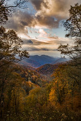 Fall Colors 2