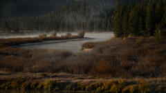 Snake River Morning Fog, Fall