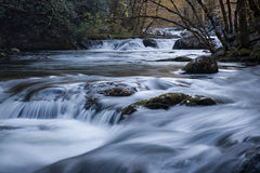 Tremont River, Fall 2