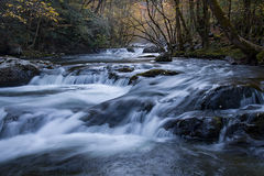 Tremont River, Fall 1