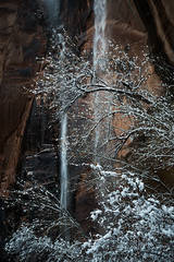 Weeping Rock Falls, Winter