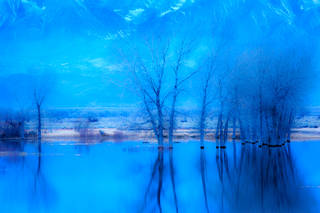 Farmers Pond, Dawn