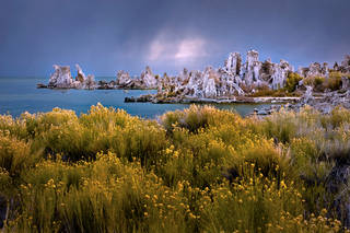 Mono Lake, Dawn