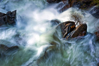 Cascade Creek, Spring