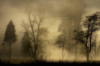 Yosemite Falls Mist