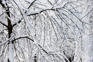 After the Snow