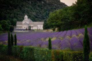 Abbey Notre Dame de Senanque, Pre Dawn