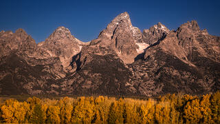 Aspens & Tetons