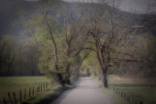 Cades Cove Foggy Sunrise
