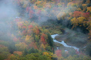 Carp River Fall Mist