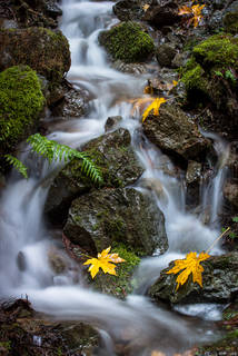 Cataract Creek