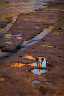 Cathedral Rock Reflections