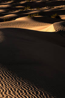 Dune Ripples