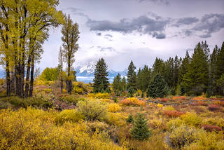 Elk Ranch Meadow 2