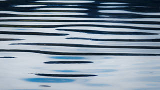 Ripples, Green River