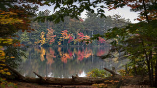 Upper Peninsula Morning Mist