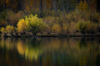 Sierra Colors