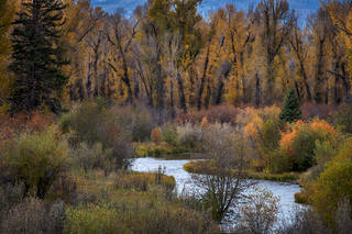 Fall along the Snake River