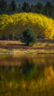 Fall Reflections Snake River