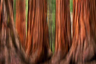 Test Photo