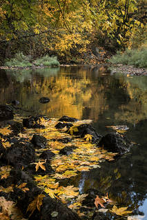 Merced River Fall Reflection
