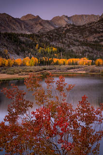 North Lake Aspens at Sunrise
